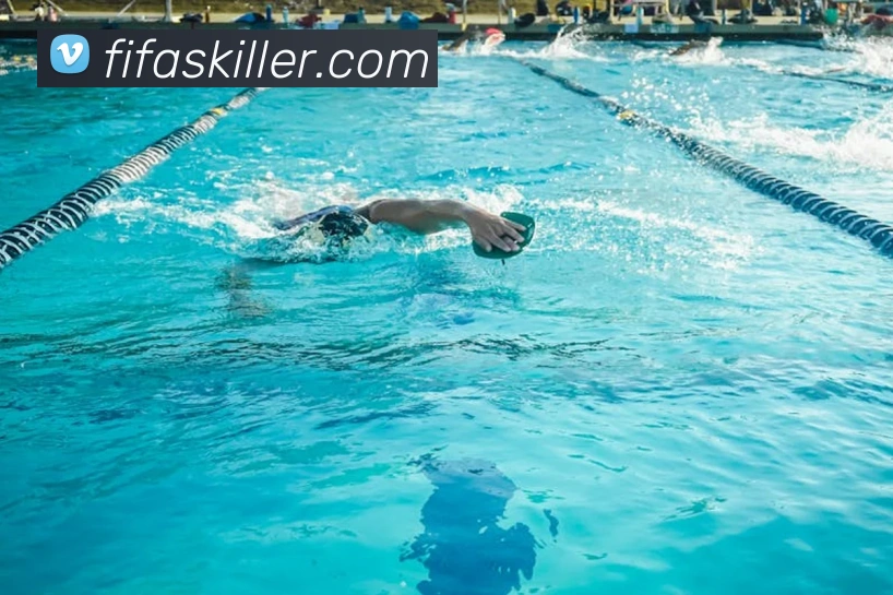 世界杯买球平台生态图